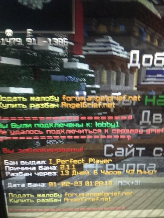 1675255577644..jpg
