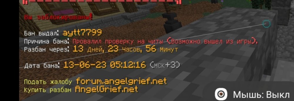 Screenshot_20230613_031539_PojavLauncher (Minecraft Java Edition for Android).jpg