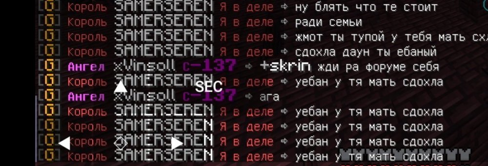 Screenshot_20230614_013051_PojavLauncher (Minecraft Java Edition for Android).jpg