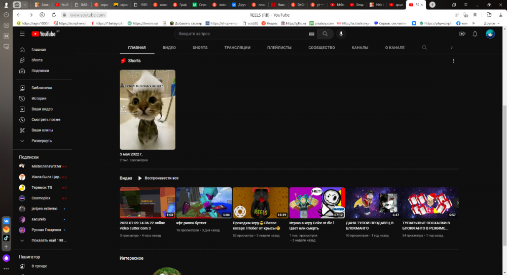 REELS (RB) - YouTube — Яндекс Браузер 09.07.2023 19_35_13.png