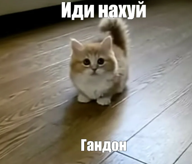 image.png.fb906b1933549b58538f5de17d5a4e57.png